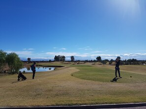 Golf