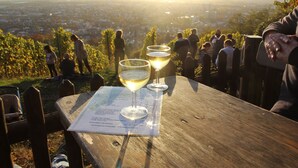 A wooden table with a menu and two wine glasses, overlooking a vineyard and cityscape. - "Bathroom apartment" for bathing beauties with Roman bath tub / 1-2P / Parking free! (Bensheim)