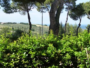 Property grounds - Bel Panorama - large two-room apartment with porch and swimming pool (San Vincenzo)