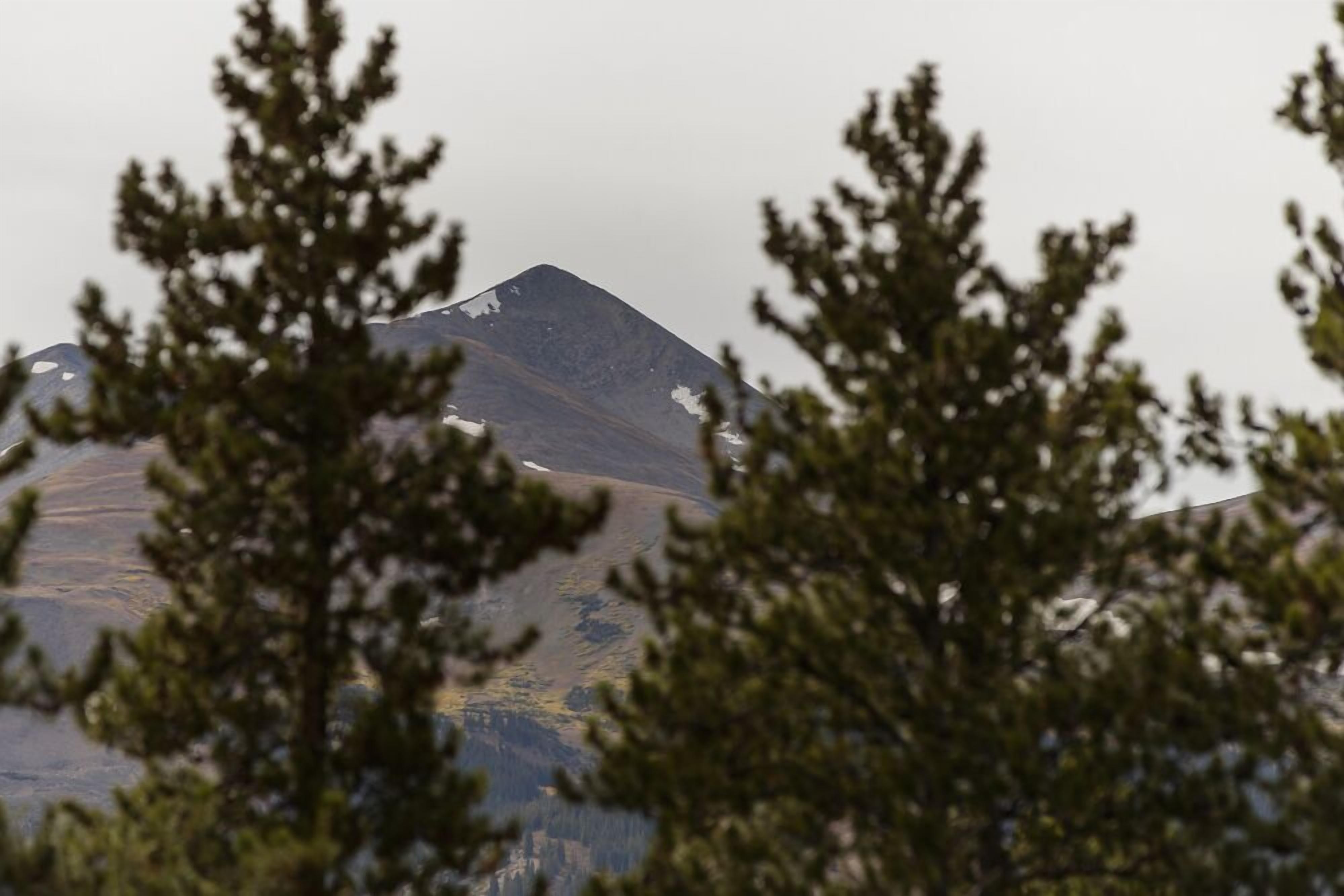 A mountain with a snow-capped peak, surrounded by trees.
