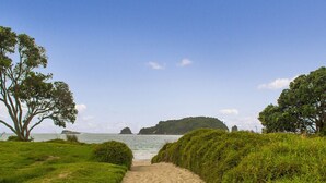 Un sentier sablonneux menant à une plage, bordée de chaque côté d’une végétation luxuriante.