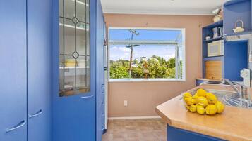 A kitchen with a window, a sink, and a countertop with lemons.