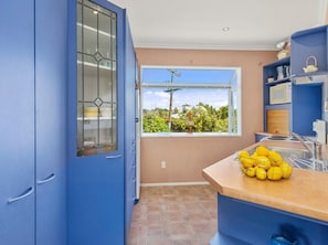 A kitchen with a window, a sink, and a countertop with lemons.