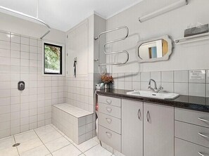Shower, hair dryer
