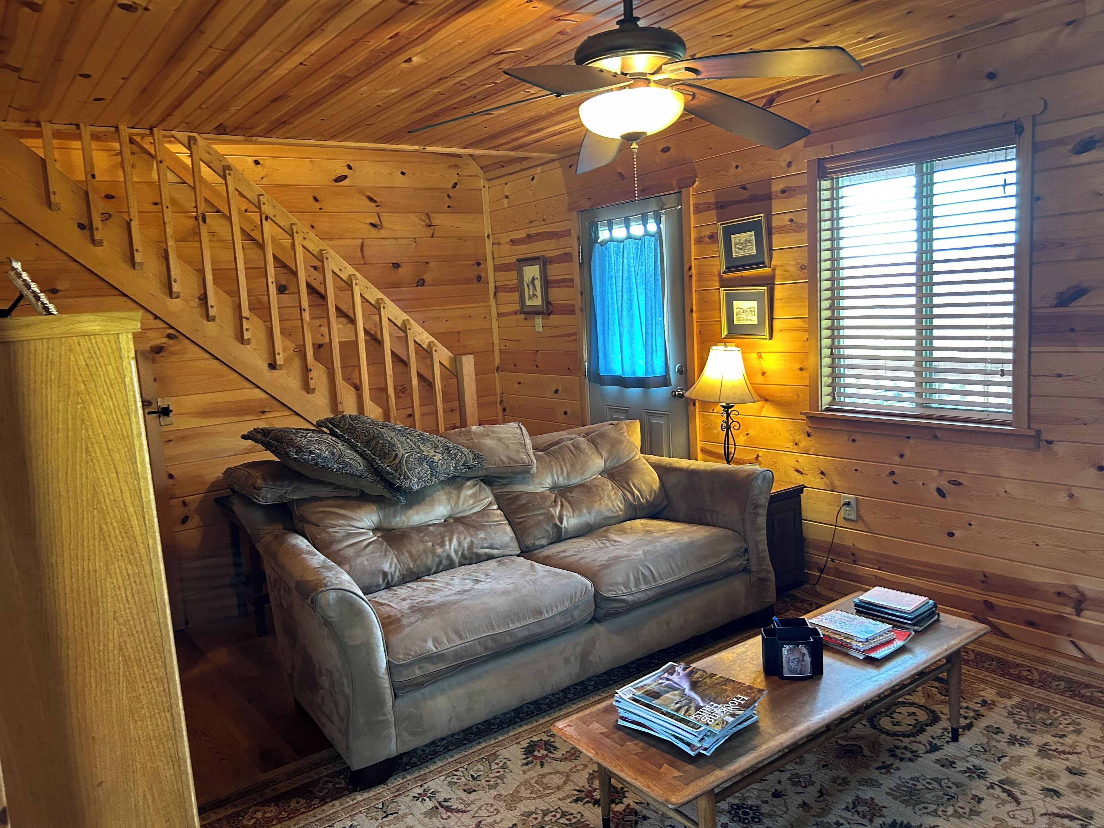 TV, fireplace, DVD player, books