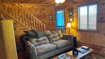 TV, fireplace, DVD player, books