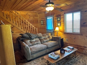 TV, fireplace, DVD player, books