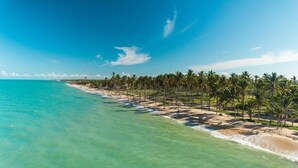 A beach with clear turquoise waters and a row of palm trees.
