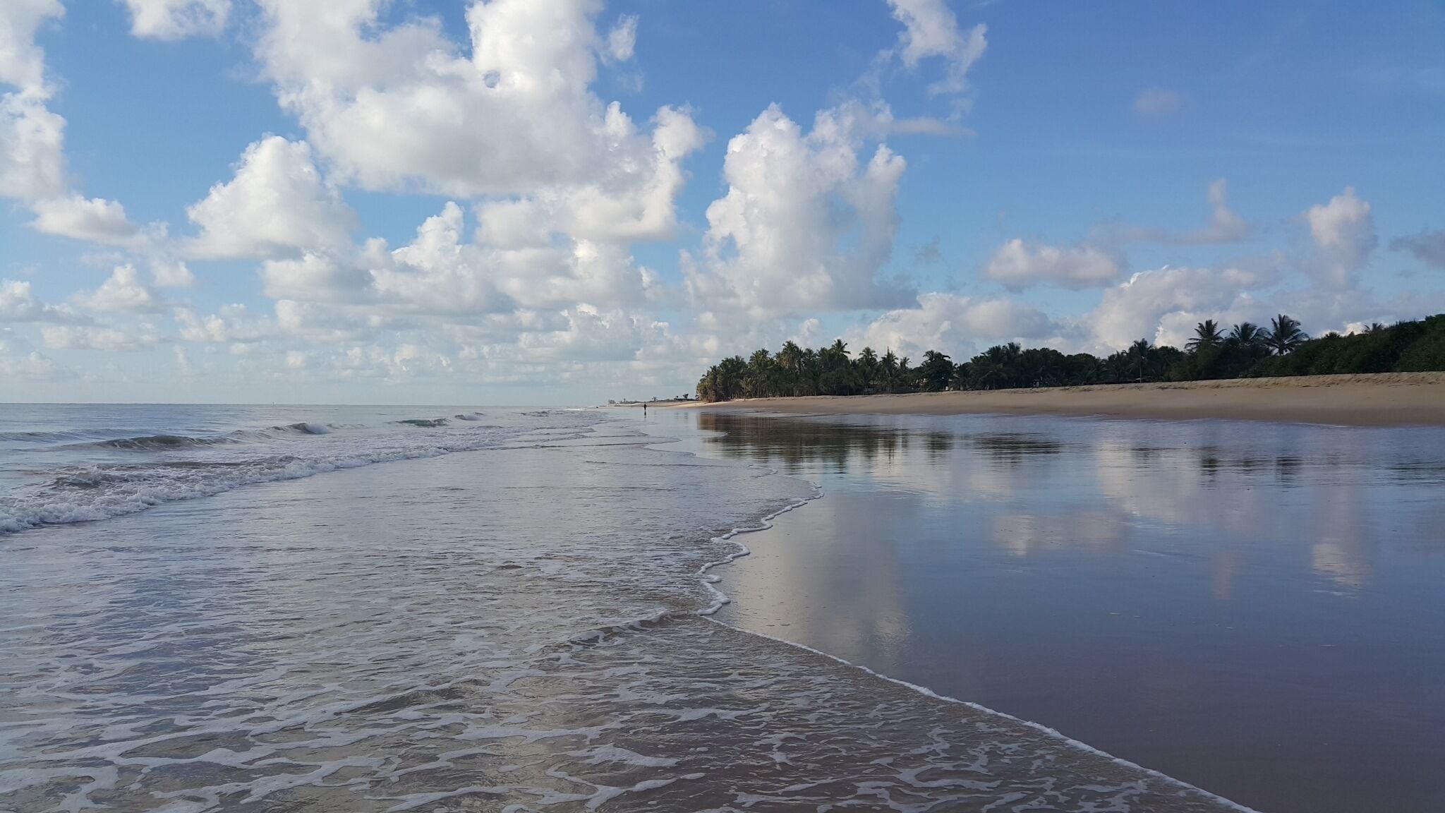 Een strand met rustig water, een zandstrand en een rij palmbomen in de verte.