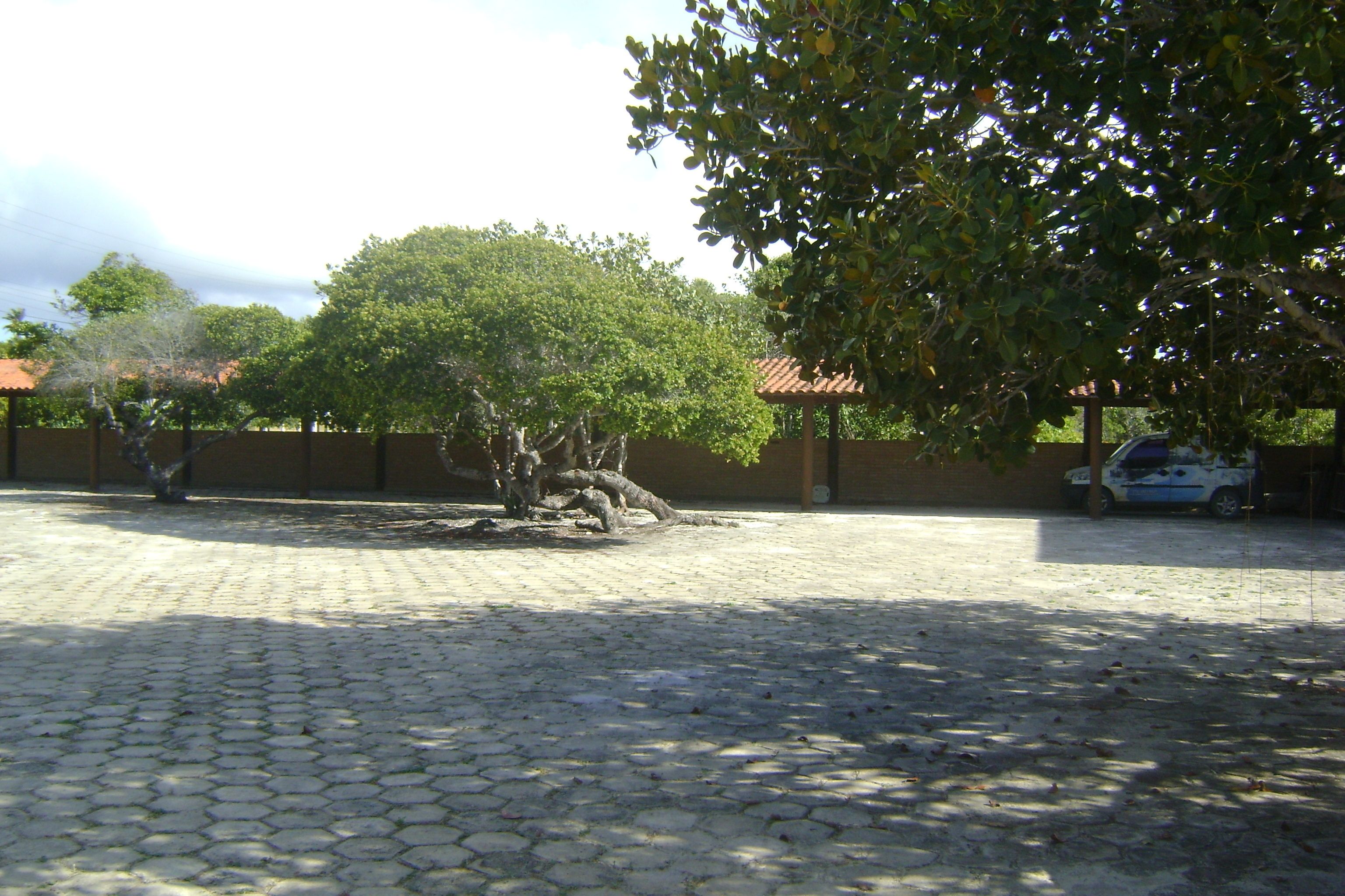 A paved courtyard with a tree, a car, and a building with a tiled roof in the background.