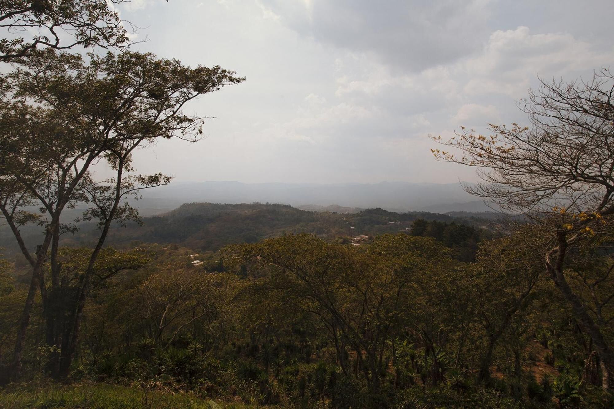 A natural landscape with trees and hills in the distance.