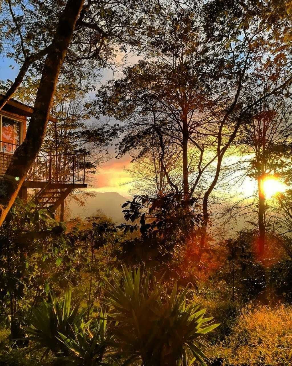 A treehouse structure amidst a forested area with a sunset in the background.