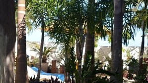 A paved pathway lined with palm trees and various plants, leading towards a building with a blue awning. - Pousada Porto do Sol (Conde)
