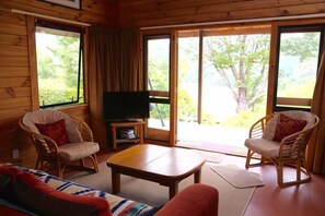 Fernseher, Kamin, DVD-Player, Bücher