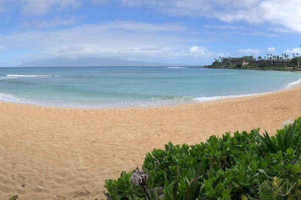 The Napili Bay