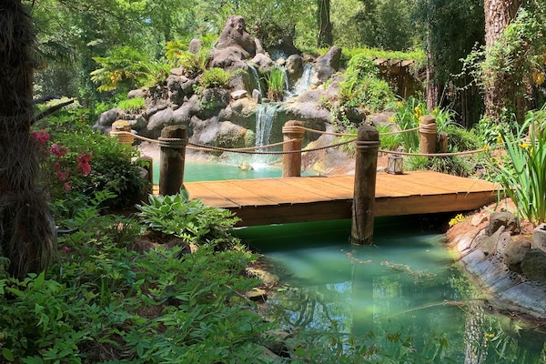waterfall in jungle gardens