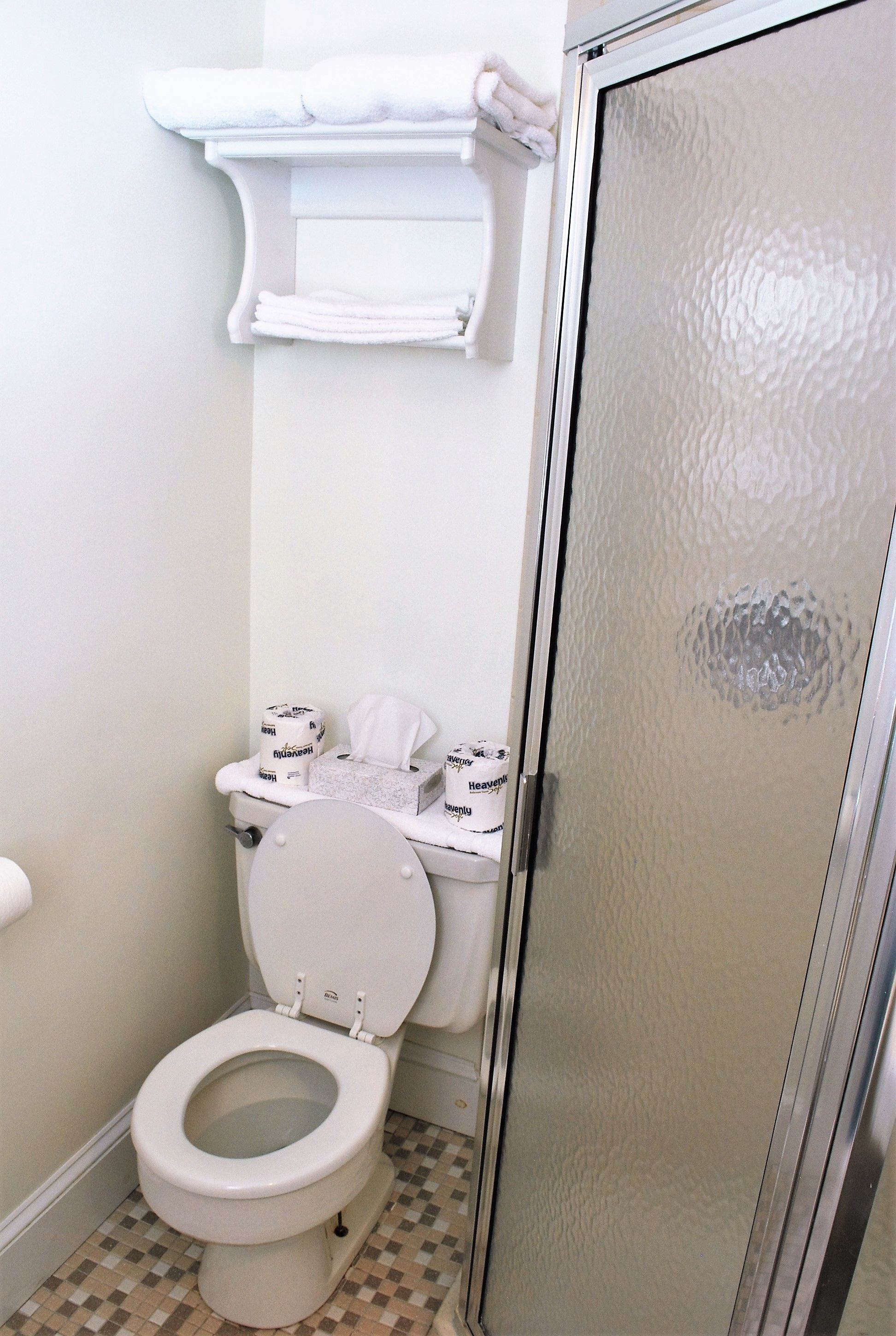 shower, towels, toilet paper