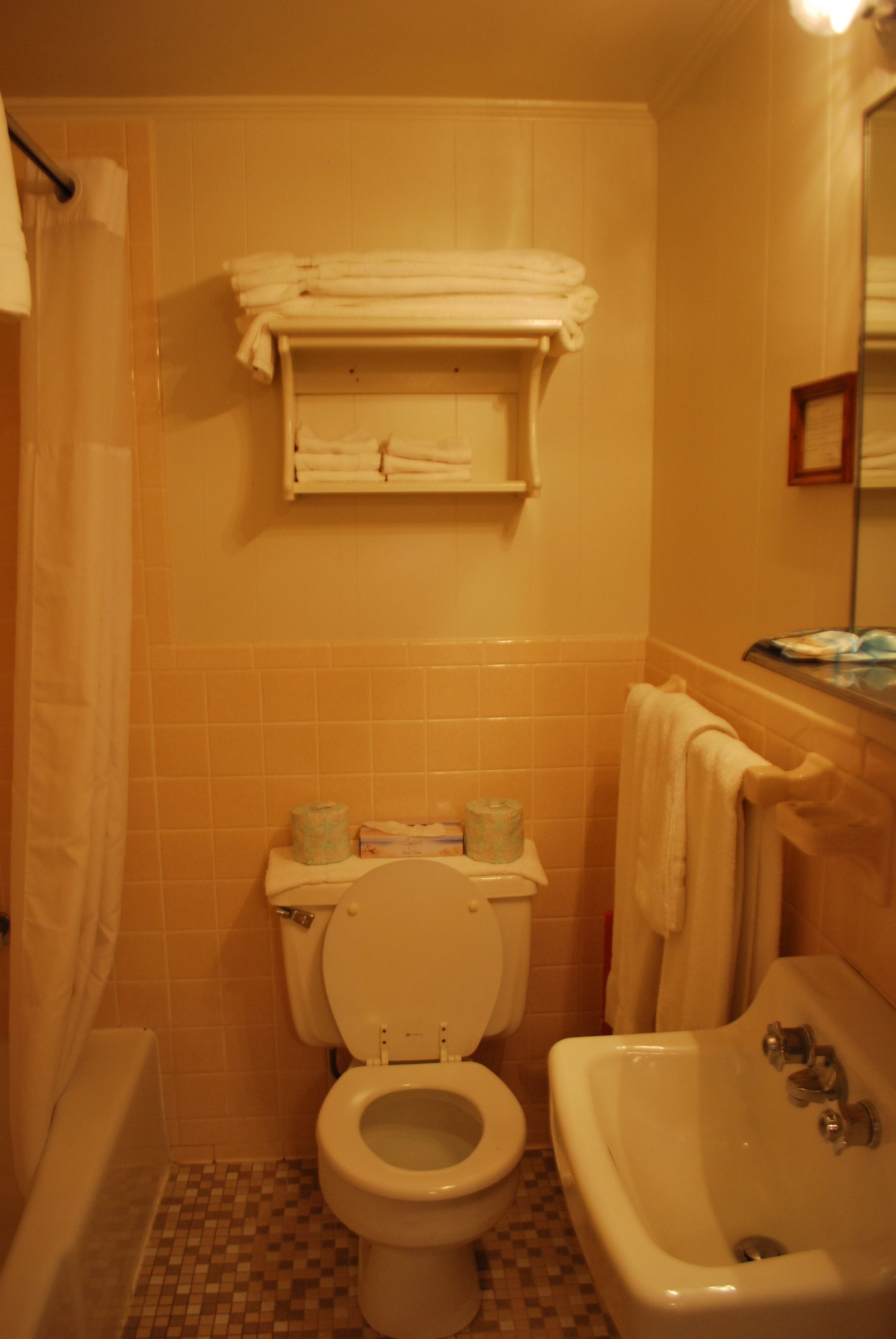 ocean front 2 bedroom, 1 double 2 twin | bathroom | shower, towels, toilet paper