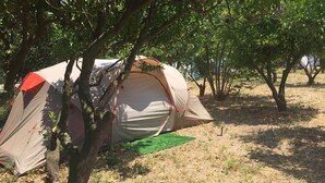 A tent set up in a natural area with trees and dry grass. - Bodrum Masali Camping - Hostel (Bodrum)