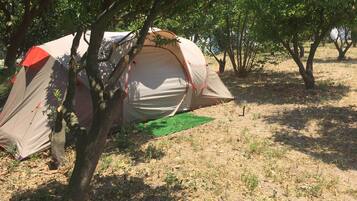 Tent (Bring Your Own) | WiFi