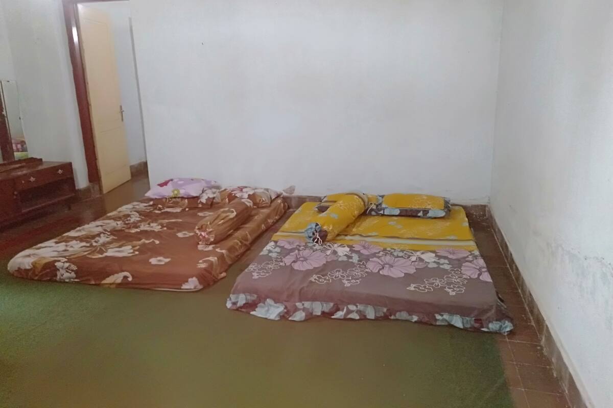 Sábanas de algodón egipcio, ropa de cama de alta calidad y cubrecamas