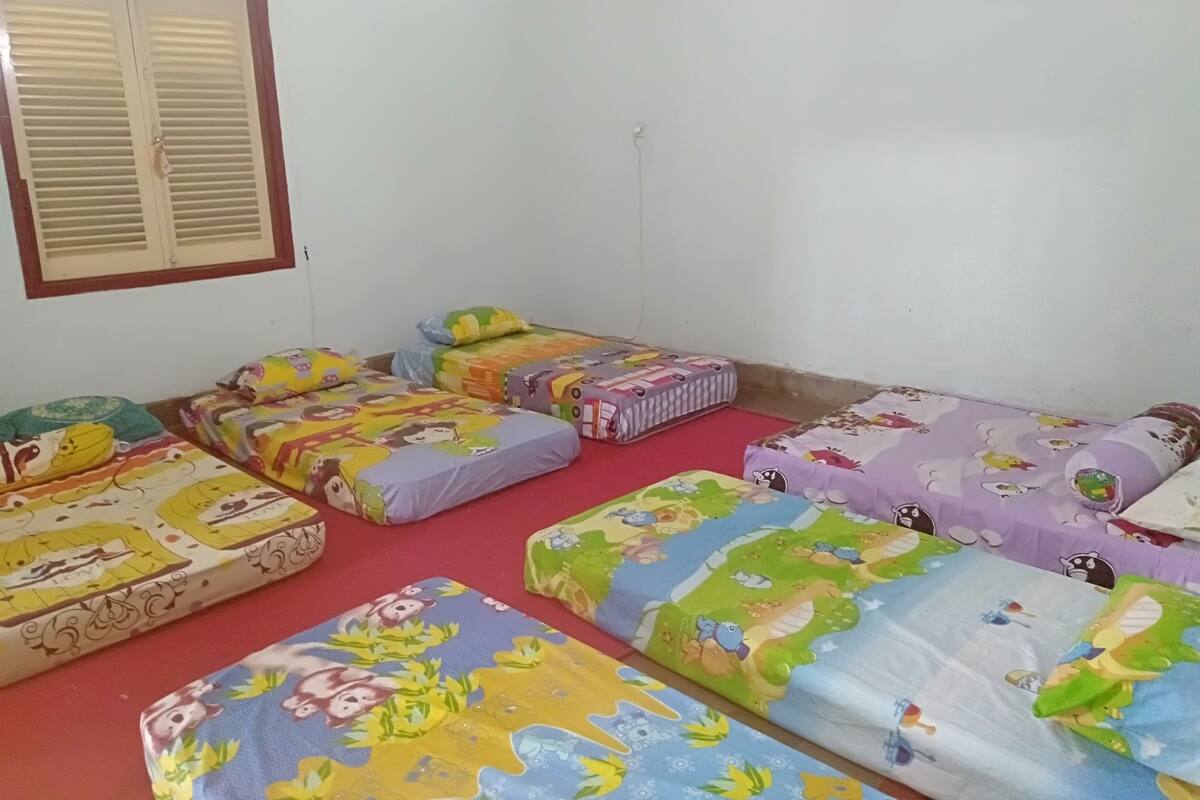 Sábanas de algodón egipcio, ropa de cama de alta calidad y cubrecamas