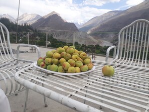 Exterior detail - Hotel Hunza Baithak (Karimabad)