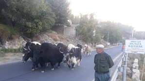 Unclassified image, 2 of 4, button - Hotel Hunza Baithak (Karimabad)