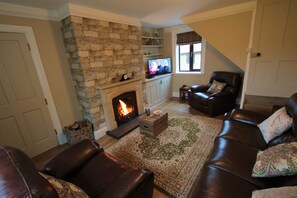 TV connectée, cheminée, lecteur de DVD, livres