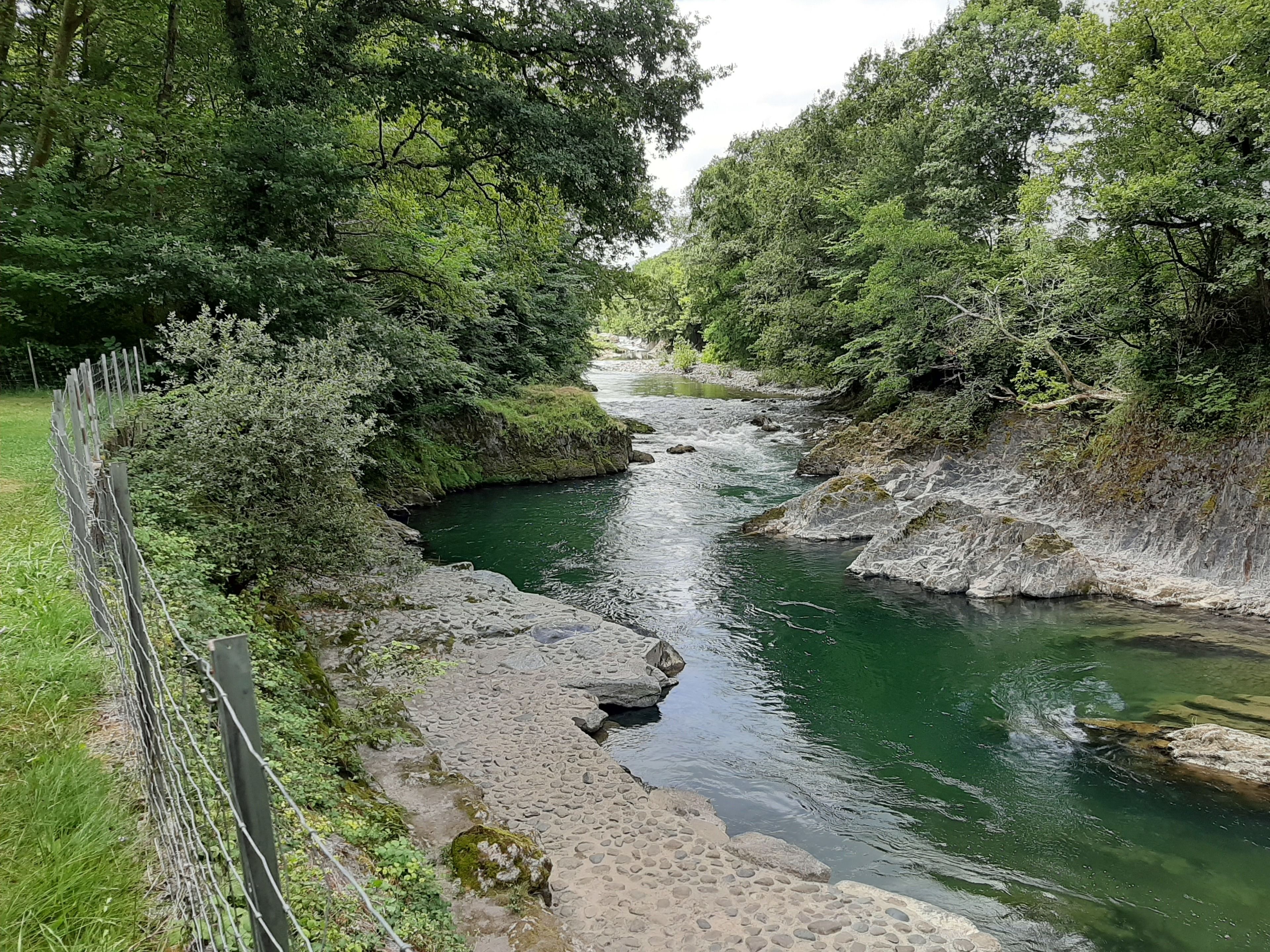 Un río serpentea por una zona boscosa con un sendero de piedra a lo largo de la orilla.