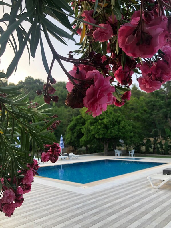 Exterior - Mina Grand Hotel (Kemer)