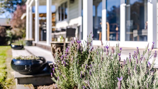 Une maison moderne dotée d’un porche abrité, d’un espace salon extérieur et de plantes de lavande.