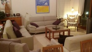 TV, fireplace, DVD player, books