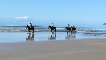 靠近海滩、沙滩椅
