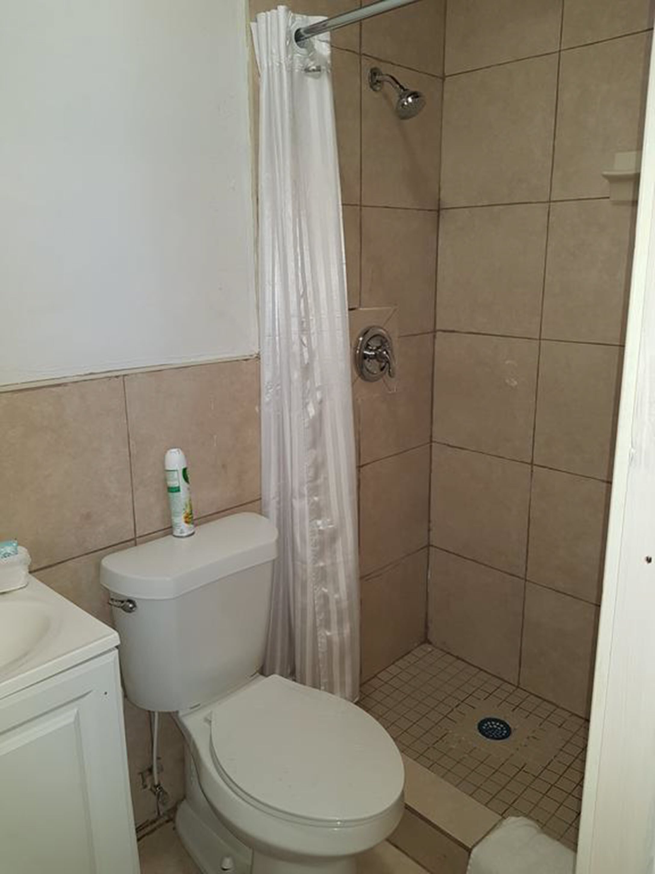 A bathroom with a toilet, shower, and a toilet paper dispenser.