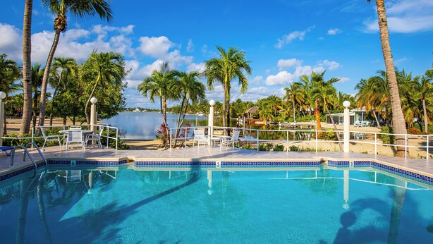 Una piscina azul cristalina rodeada de palmeras y tumbonas.