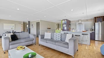 TV, fireplace, ping pong