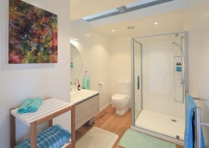 Shower, hair dryer