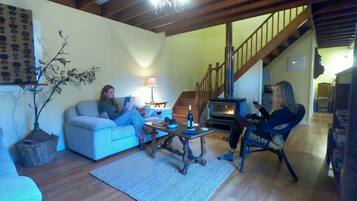 TV, fireplace, books