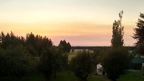 Uklassifisert bilde, 3 av 24, knapp