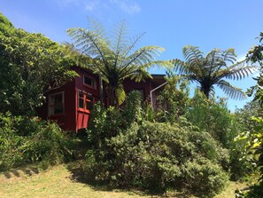 Exterior - Beach Cottage Collingwood (Collingwood)