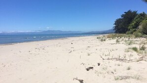 Una playa con cielos despejados, orilla arenosa y vegetación escasa.