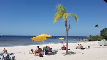 Plage à proximité, chaises longues, serviettes de plage