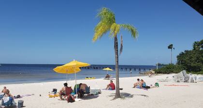 NICE! Great Reviews! Tampa Bay Beach condo with FULL kitchen, Veteran owned