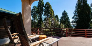 Villa Deluxe (with Private Open-air Bath, Tierra)