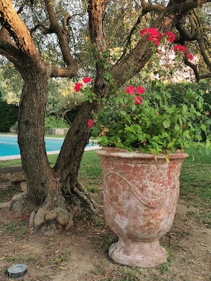 Parco della struttura