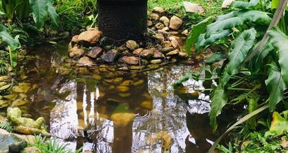 House- Chalet in Santo Antonio do Pinhal