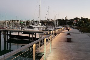 Marina - Sumptuous Light Filled Place with Aircon & Carpark (Auckland)
