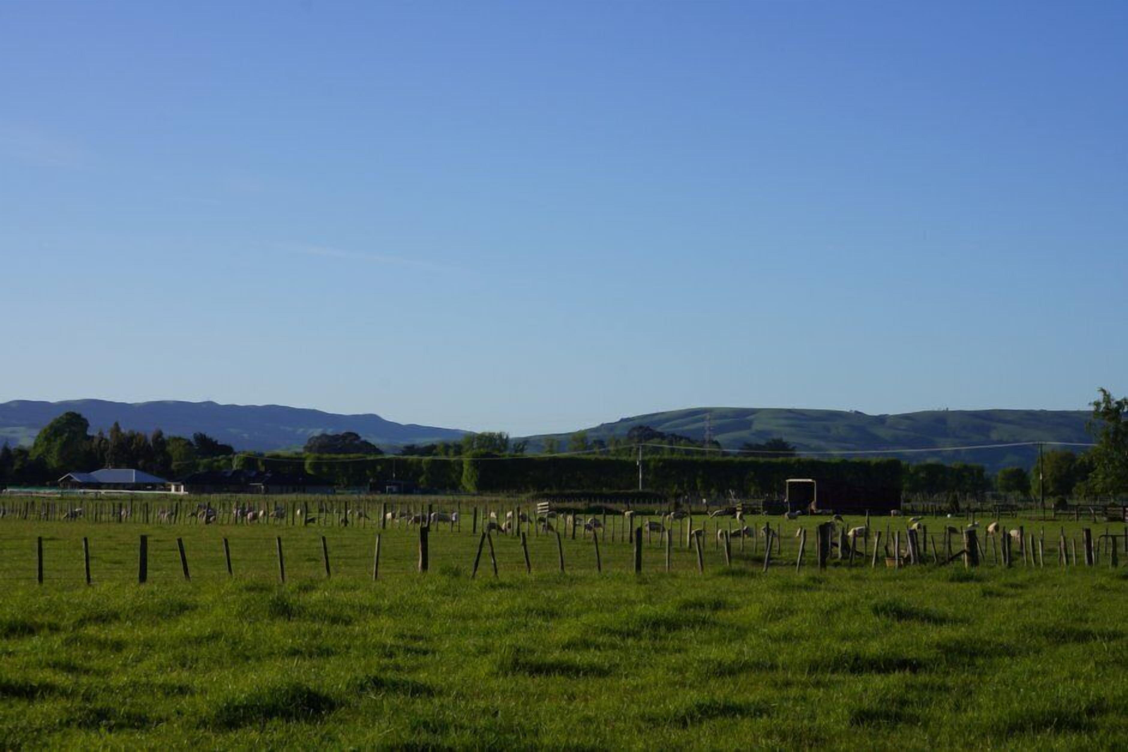 A grassy field with a fence and a building in the distance.