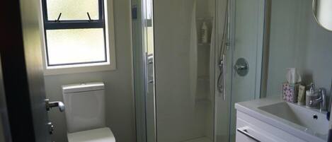 A bathroom with a toilet, a glass-enclosed shower, and a sink with a mirror.